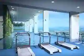 Sky Gym